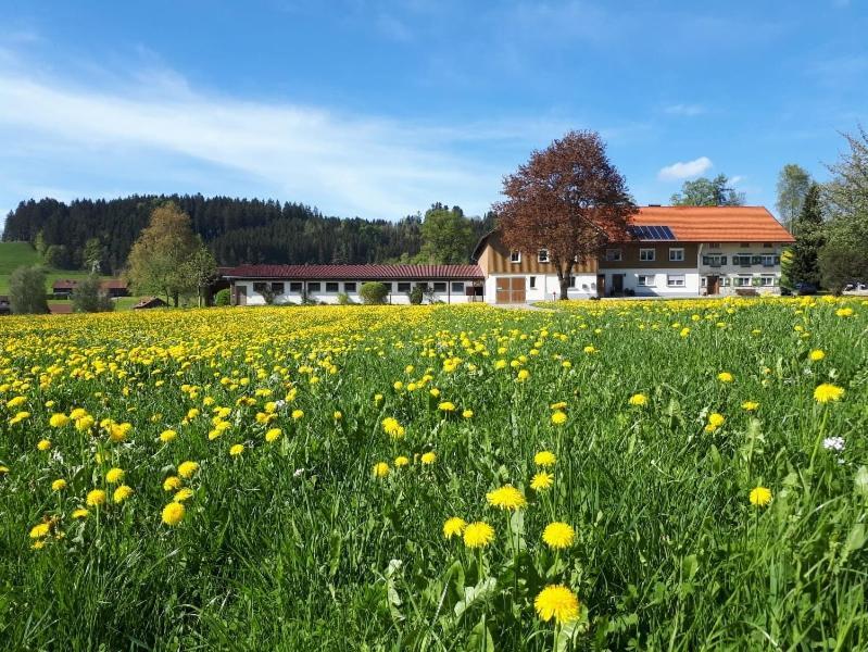 Ferienhaus Rasch Maierhofen  Ngoại thất bức ảnh